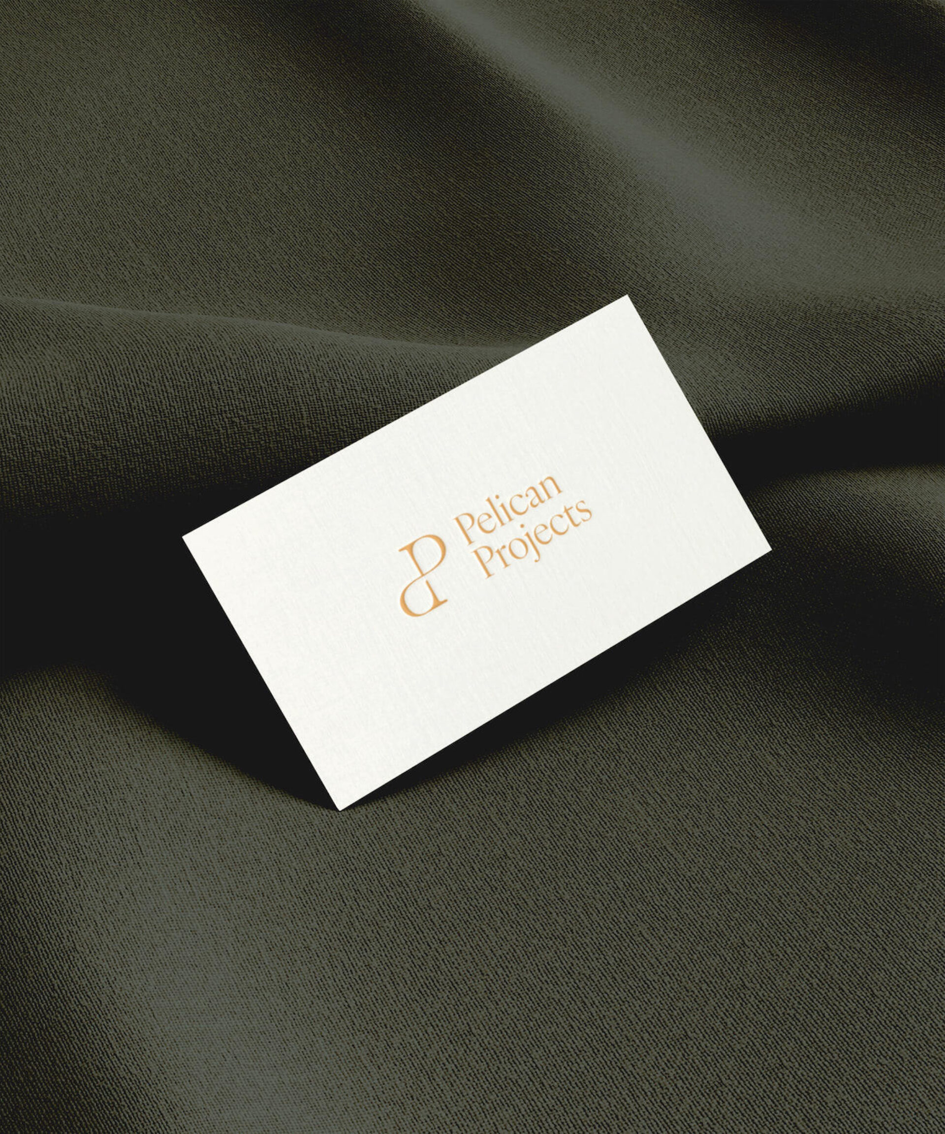 PP 01
